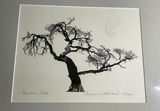 Two Framed Ink Prints, Signed And Numbered - thumbnail 3 of 4