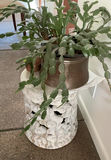 Asian Ceramic Pedestal, Christmas Cactus In Copper Pot - thumbnail 3 of 4