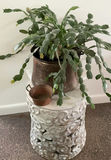 Asian Ceramic Pedestal, Christmas Cactus In Copper Pot - thumbnail 1 of 4