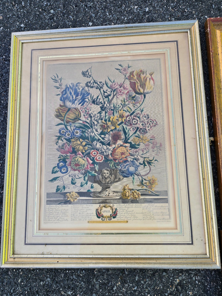 Assorted framed botanical prints - image 6 of 15