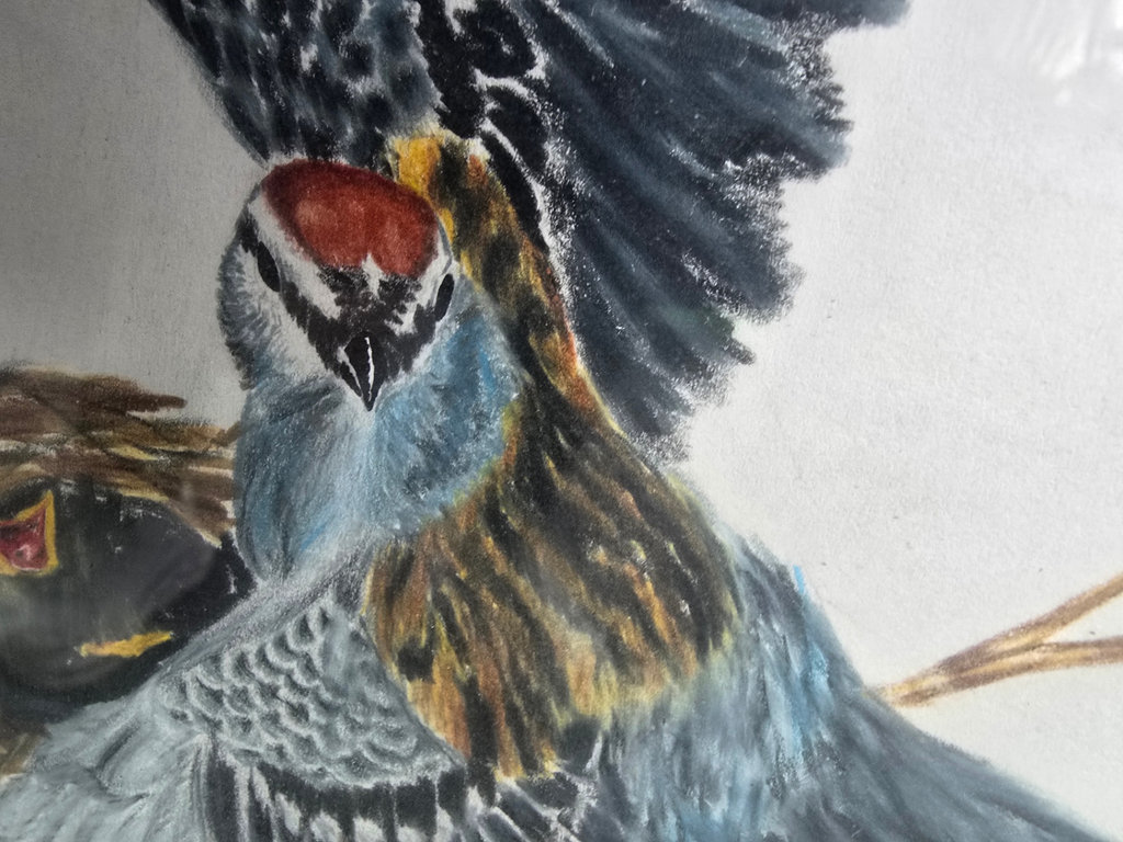 Framed blue bird artwork - image 3 of 8