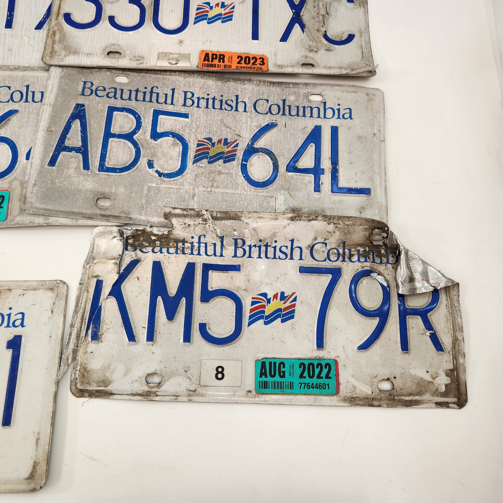 Vintage BC License Plates - image 3 of 6