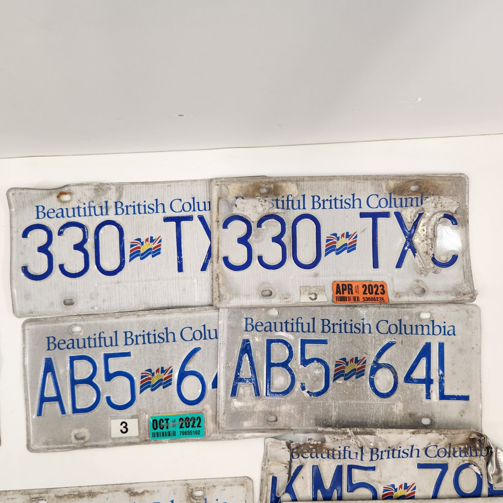 Vintage BC License Plates - image 2 of 6