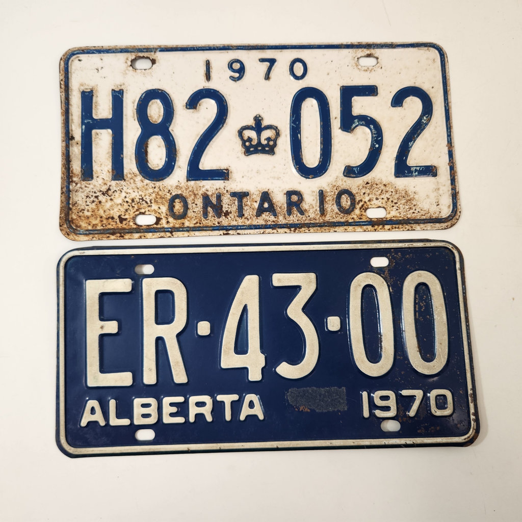 Vintage License Plates - image 1 of 3