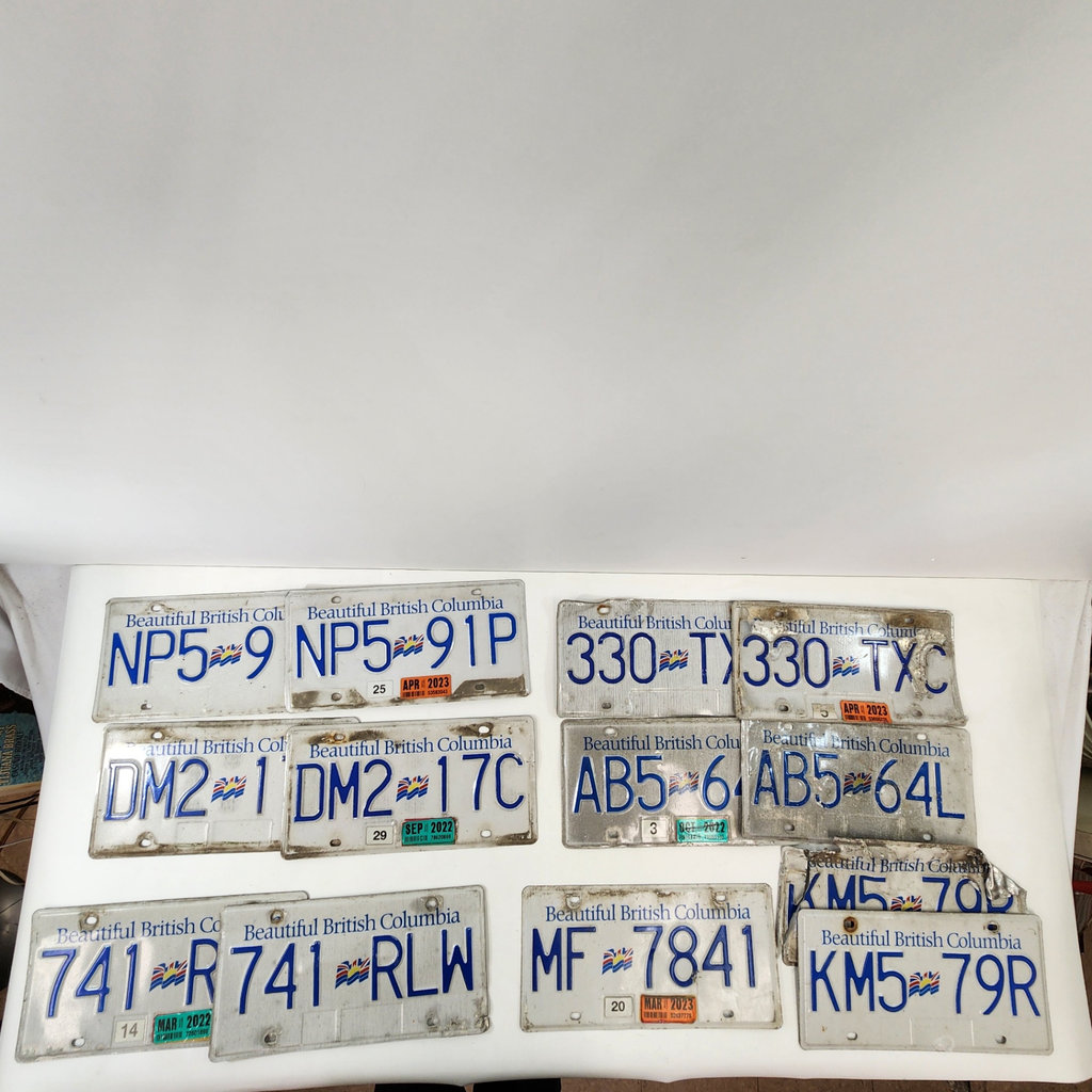 Vintage BC License Plates - image 1 of 6
