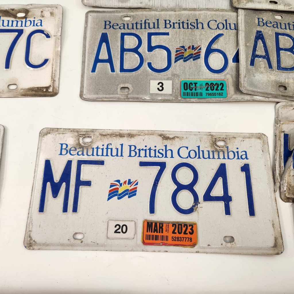 Vintage BC License Plates - image 6 of 6