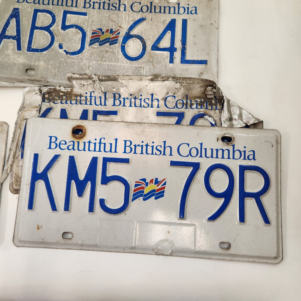 Vintage BC License Plates - image 4 of 6