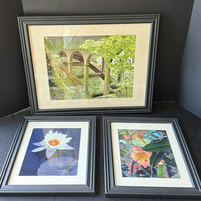 Framed botanical and landscape prints - Image 1 of 4