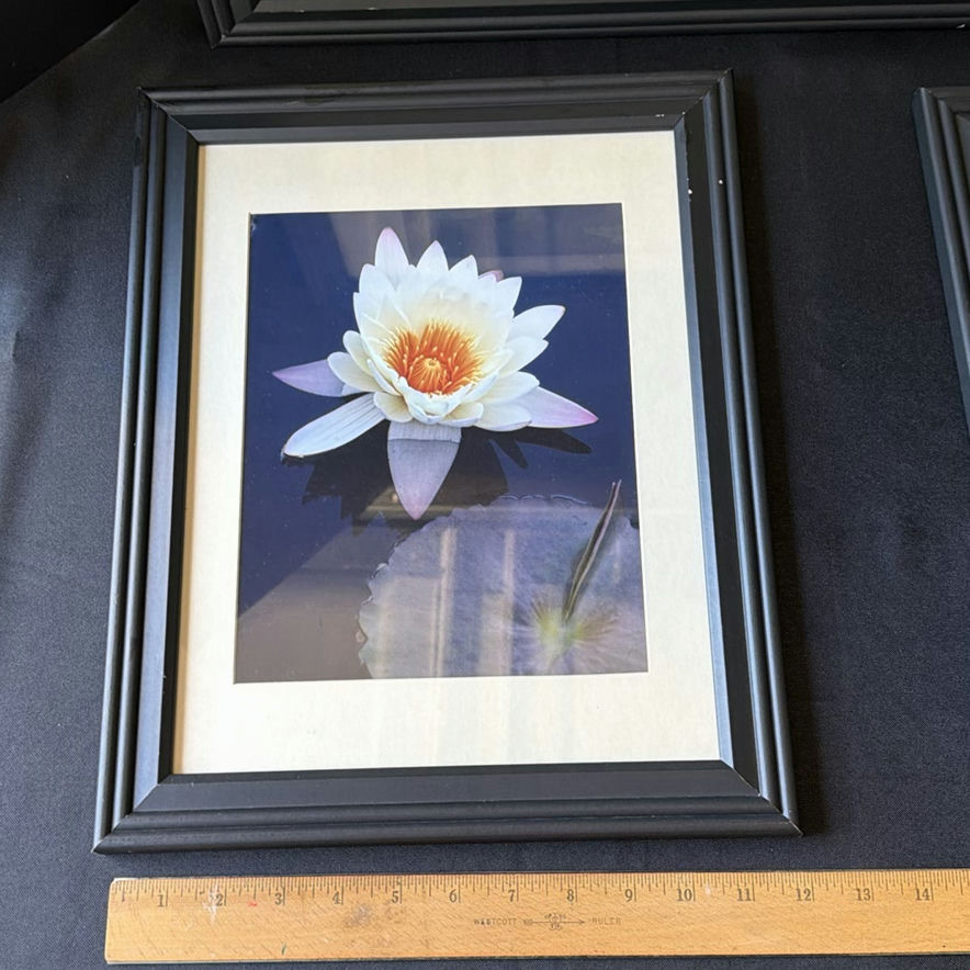 Framed botanical and landscape prints - image 2 of 4