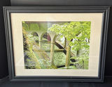 Framed botanical and landscape prints - thumbnail 4 of 4