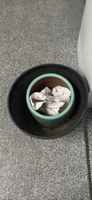 Ceramic Planter and Black Plastic Pot - Image 1 of 3