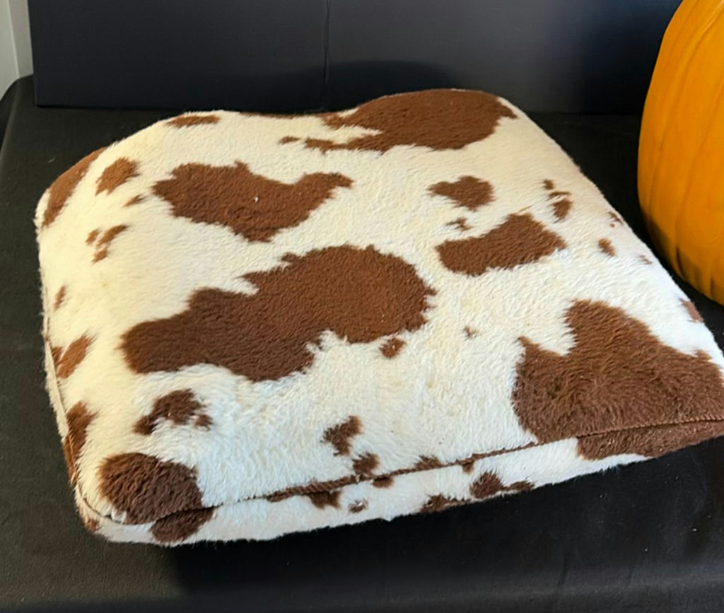 Assorted Halloween decor: plush pumpkins, cow-patterned cushion, and vintage candle box - image 6 of 6