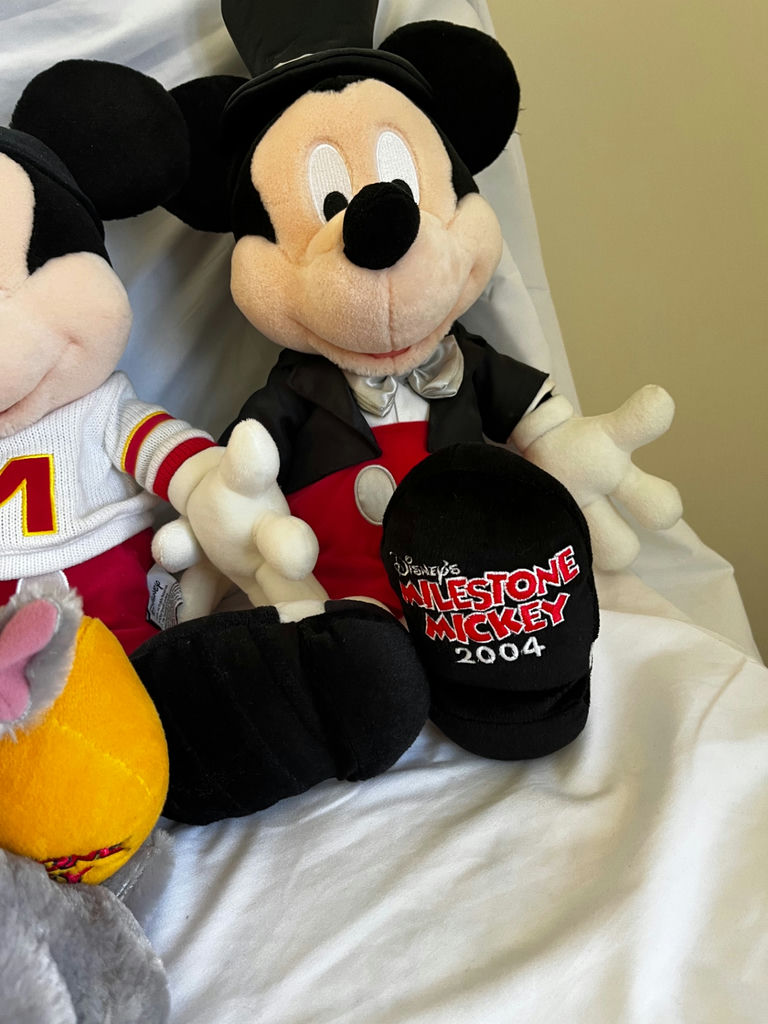 Collection of Disney character plush toys - image 3 of 3