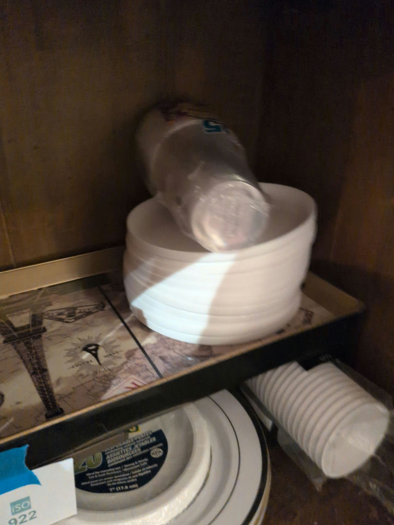 Disposable Plates, Bowls, Cups, Cutlery, and Mesh Food Cover - image 2 of 7