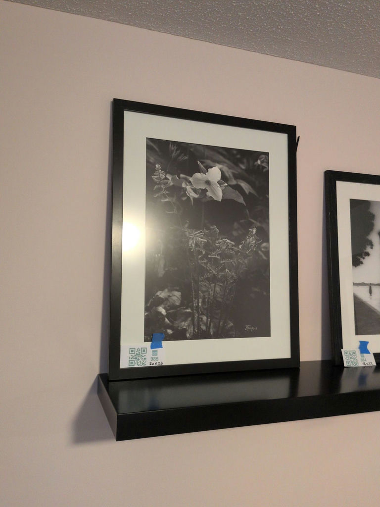Framed Black and White Floral Wall Art Print - image 1 of 4