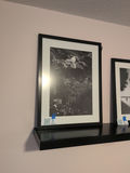 Framed Black and White Floral Wall Art Print - thumbnail 1 of 4