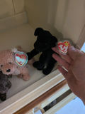TY Beanie Babies Plush Dog Toys - thumbnail 6 of 6