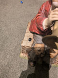 Melody in Motion Willie the Trumpeter Figurine and Decorative Statues - thumbnail 6 of 7