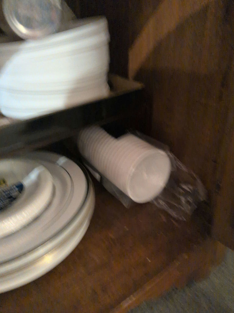 Disposable Plates, Bowls, Cups, Cutlery, and Mesh Food Cover - image 3 of 7