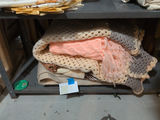 Assorted Blankets and Throws - thumbnail 1 of 5