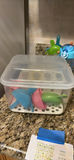 Children's Drinkware and Dining Set with Popsicle Molds - thumbnail 2 of 10