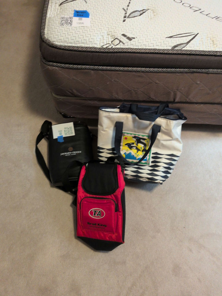 Assorted Insulated Cooler Bags and Tote Bag - image 5 of 5