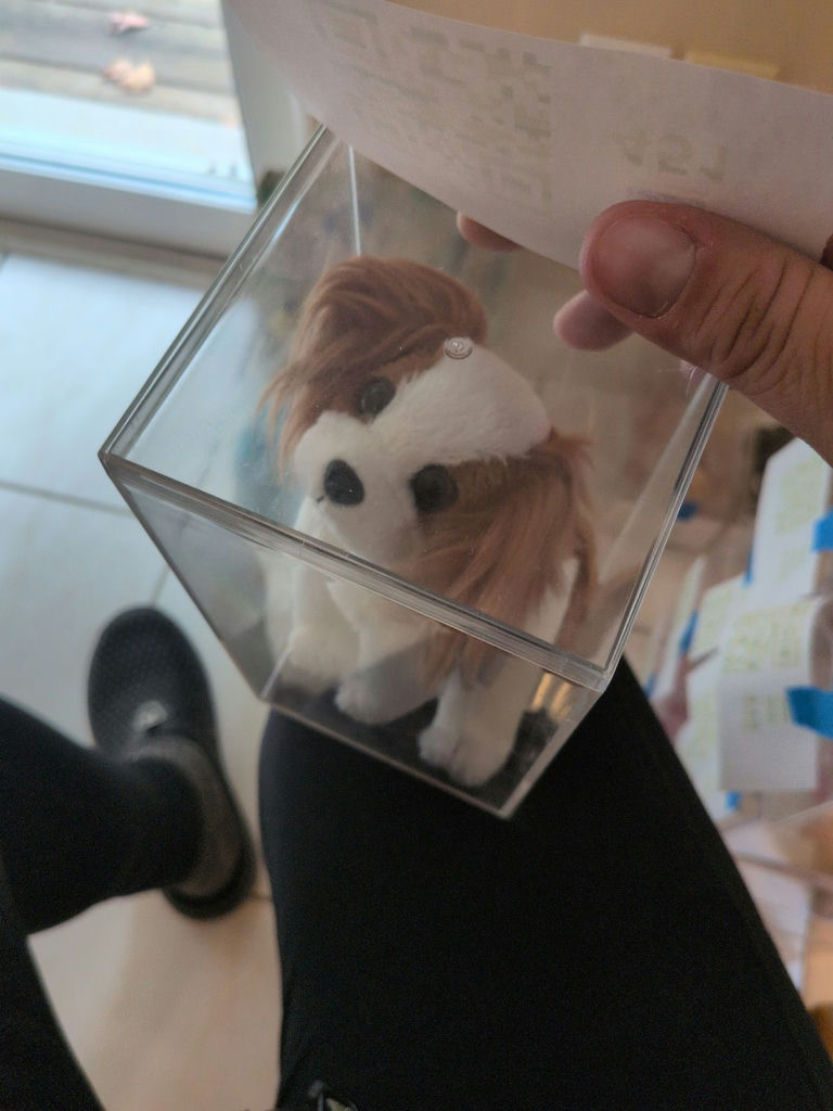 TY Beanie Babies 'Regal' Dog in Clear Display Case - image 3 of 5