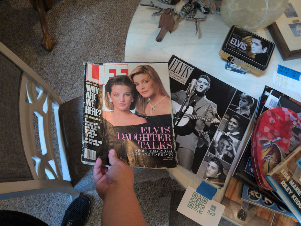 Elvis Presley Collectibles and Media Lot - image 13 of 15