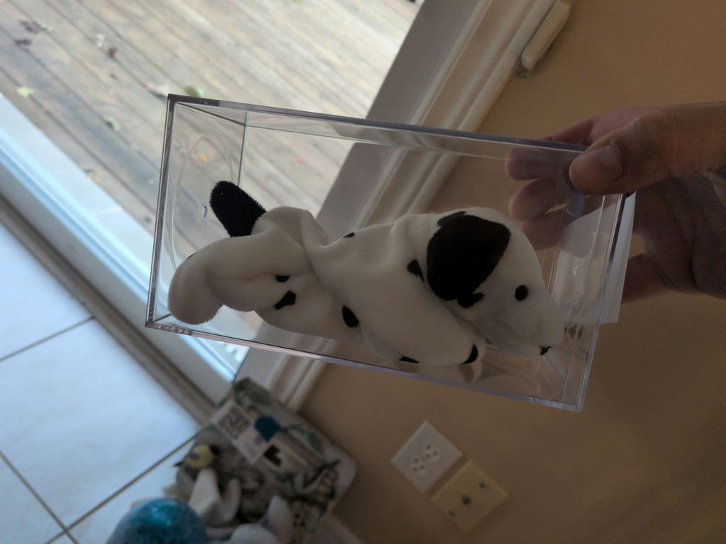 TY Beanie Baby Dotty Dalmatian in Clear Display Case - image 2 of 4