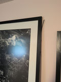 Framed Black and White Floral Wall Art Print - thumbnail 3 of 4