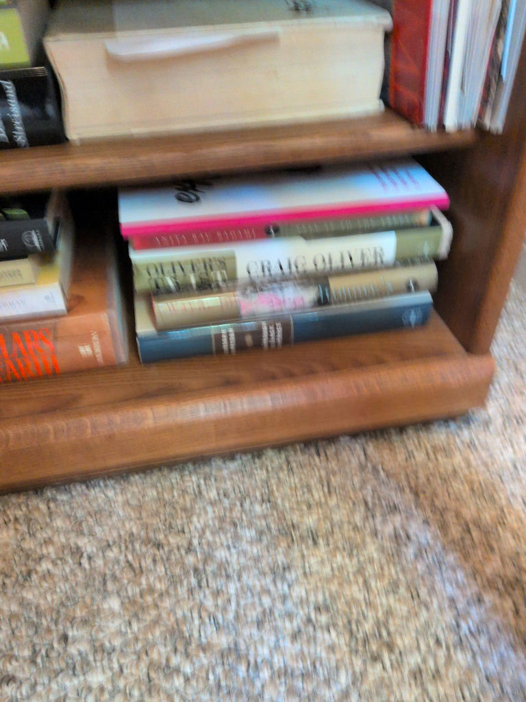 Assorted Hardcover and Paperback Books - image 5 of 7