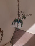 Hanging Glass Orb and Metal Hummingbird Decor - thumbnail 5 of 5