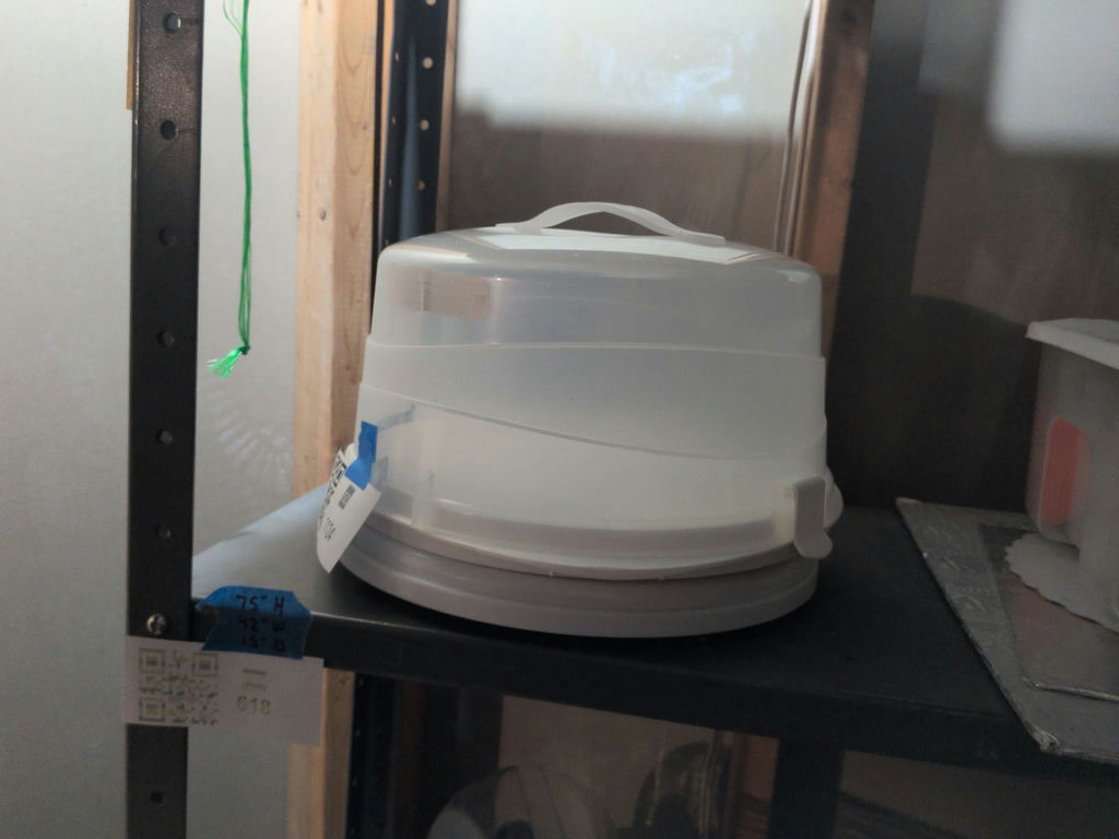 Round Cake Carrier and Rotating Cake Stand - image 4 of 5