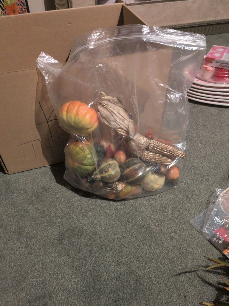 Thanksgiving and Fall Decorative Items - image 5 of 10