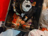 Halloween Decorations and Storage Bin - thumbnail 9 of 9