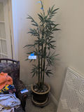 Artificial Bamboo Plant in Decorative Pot - thumbnail 1 of 5