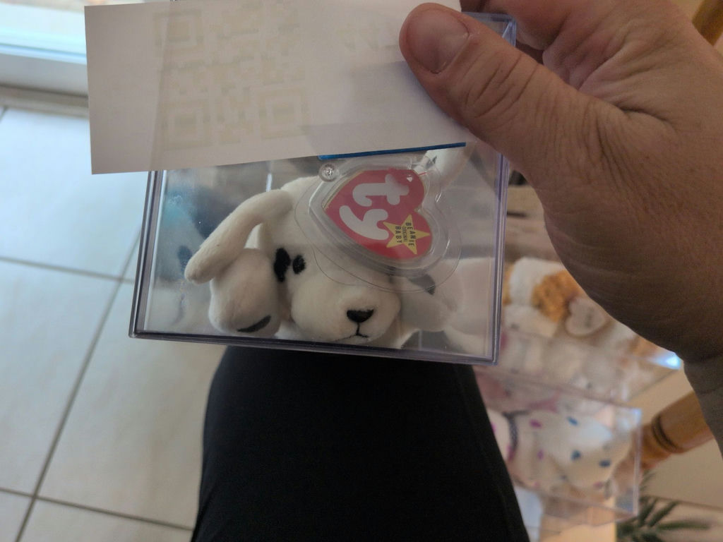TY Beanie Baby 'Sparky' in Clear Display Case - image 2 of 4