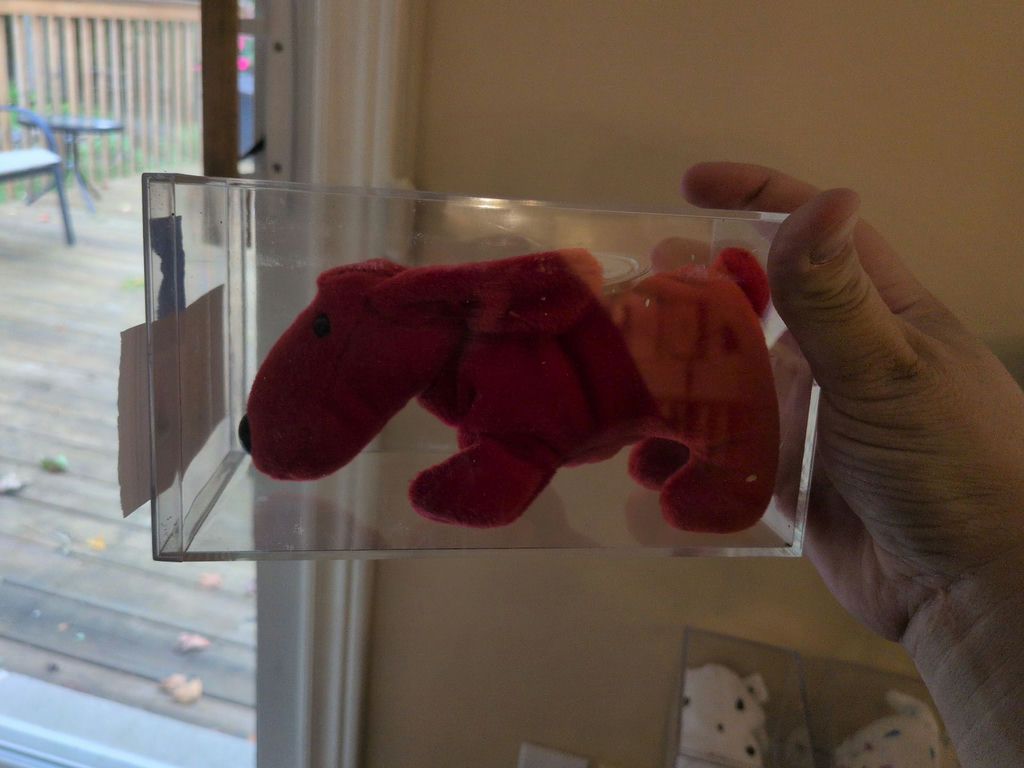 TY Beanie Baby 'Rover' in Clear Display Case - image 2 of 4
