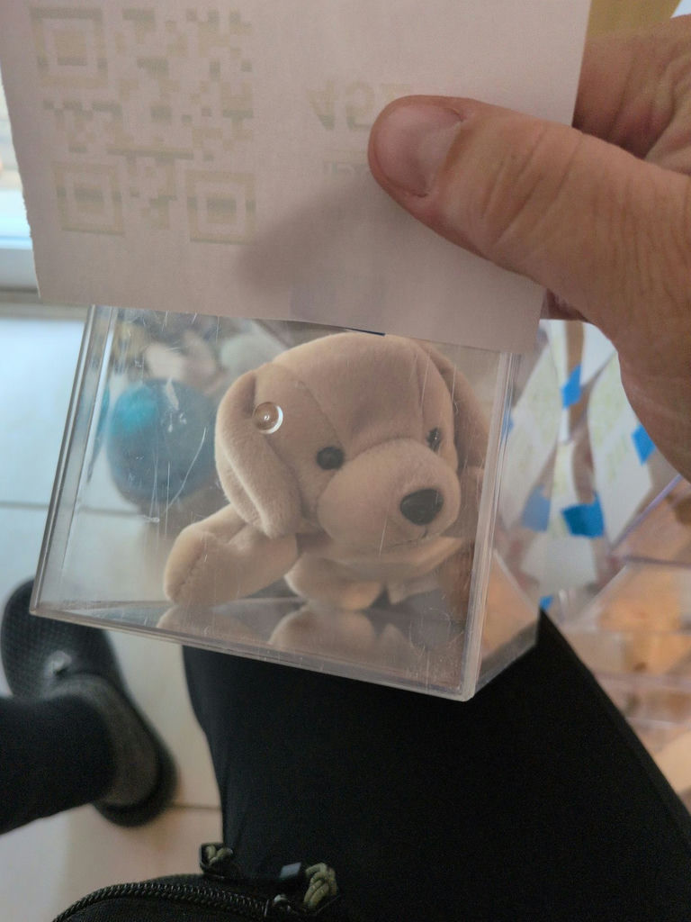 TY Beanie Baby 'Fetch' in Clear Display Case - image 3 of 4