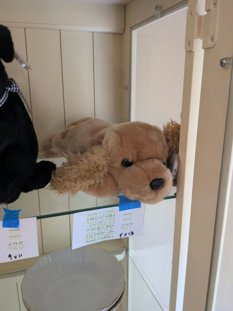 TY Beanie Baby Buddy Plush Dog - image 1 of 4