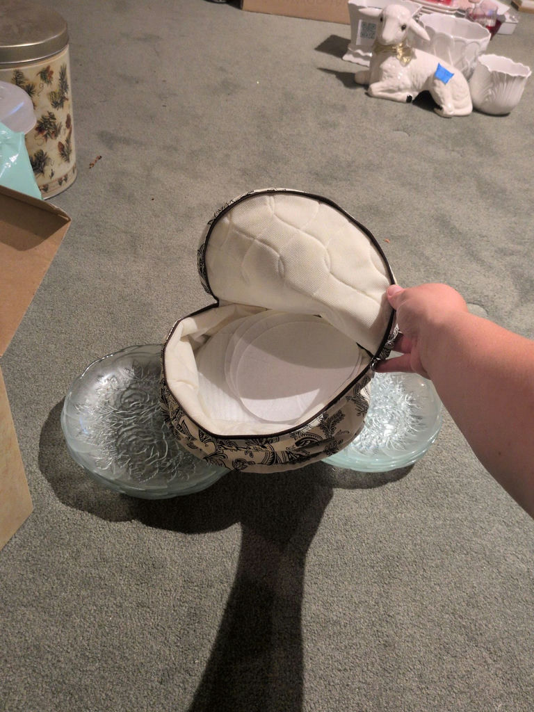 Set of Frosted Glass Floral Plates with Storage Carrier - image 5 of 5