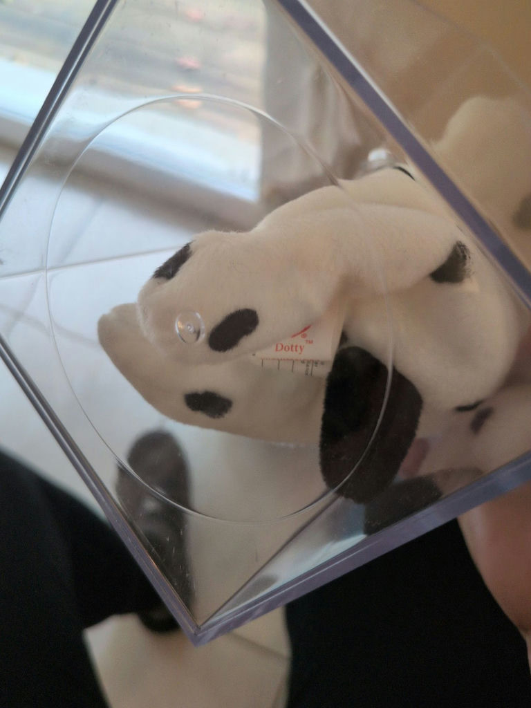 TY Beanie Baby Dotty Dalmatian in Clear Display Case - image 4 of 4