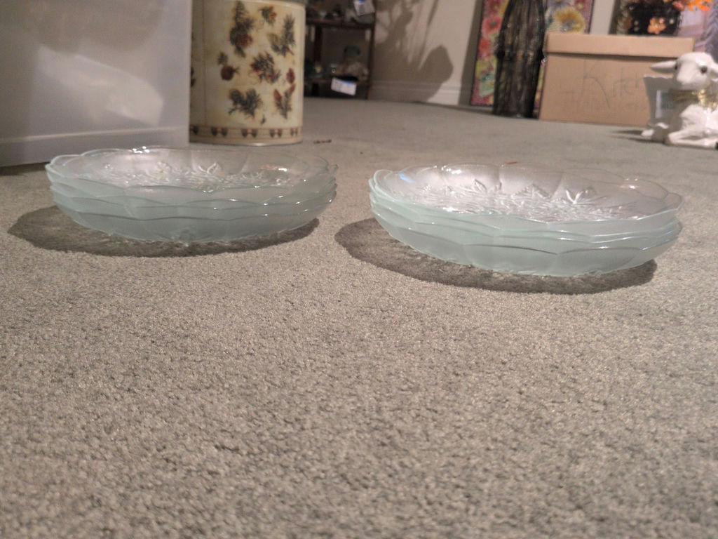 Set of Frosted Glass Floral Plates with Storage Carrier - image 4 of 5