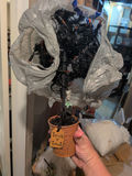 Halloween Decorations and Storage Bin - thumbnail 7 of 9