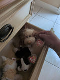 TY Beanie Babies Plush Dog Toys - thumbnail 5 of 5