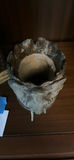 Decorative Sculpture and Elephant Candle Holder - thumbnail 4 of 6