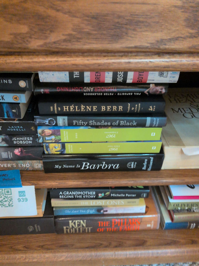 Assorted Hardcover and Paperback Books - image 3 of 7