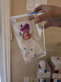 TY Beanie Baby Plush Toy in Display Case - thumbnail 3 of 3