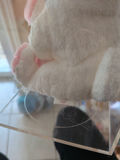 TY Beanie Baby 'Cupid' in Clear Display Case - thumbnail 4 of 4