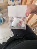 TY Beanie Baby Plush Dog in Clear Display Box - thumbnail 2 of 3